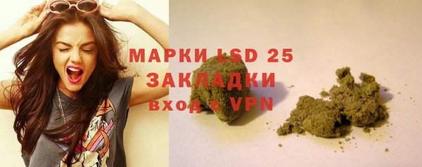 дживик Баксан