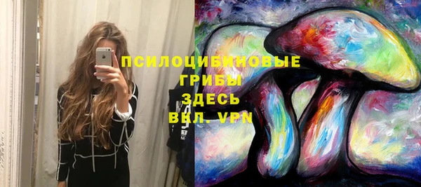 дживик Баксан